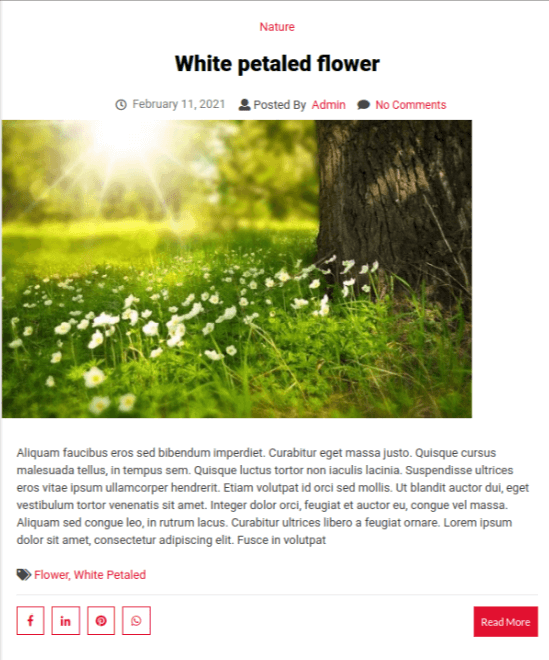 Evolution Blog Template